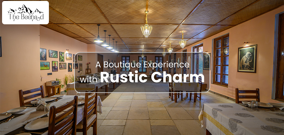 A Boutique Experience with Rustic Charm