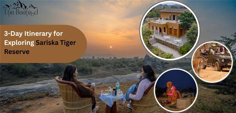 3-day-itinerary-for-exploring-sariska-tiger-reserve