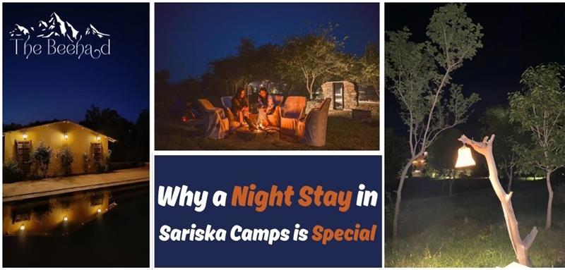 Why-a-Night-Stay-in-Sariska-Camps-is-Special