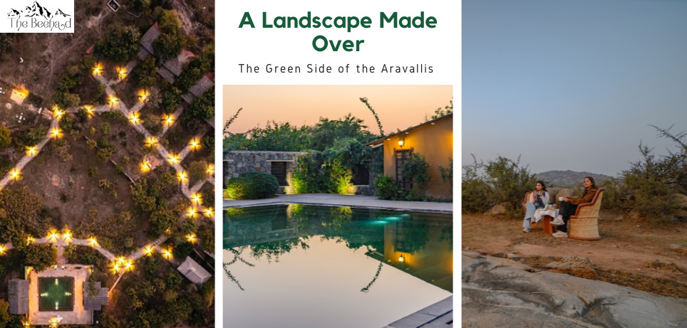 A Landscape Made Over: The Green Side of the Aravallis