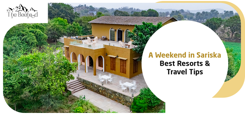 a-weekend-in-sariska-best-resorts-travel-tips.jpg