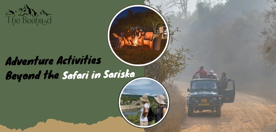 adventure-activities-beyond-the-safari-in-sariska