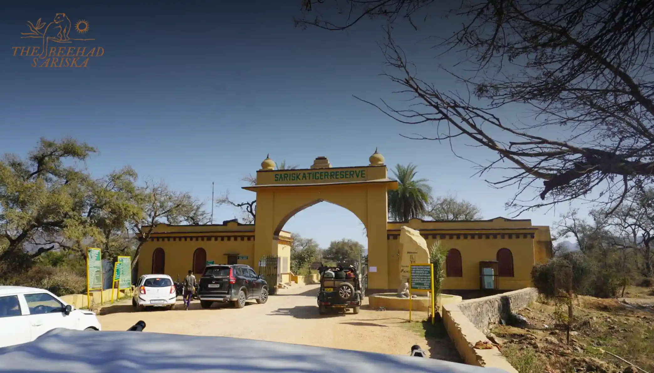 How to Reach Sariska Tiger Reserve