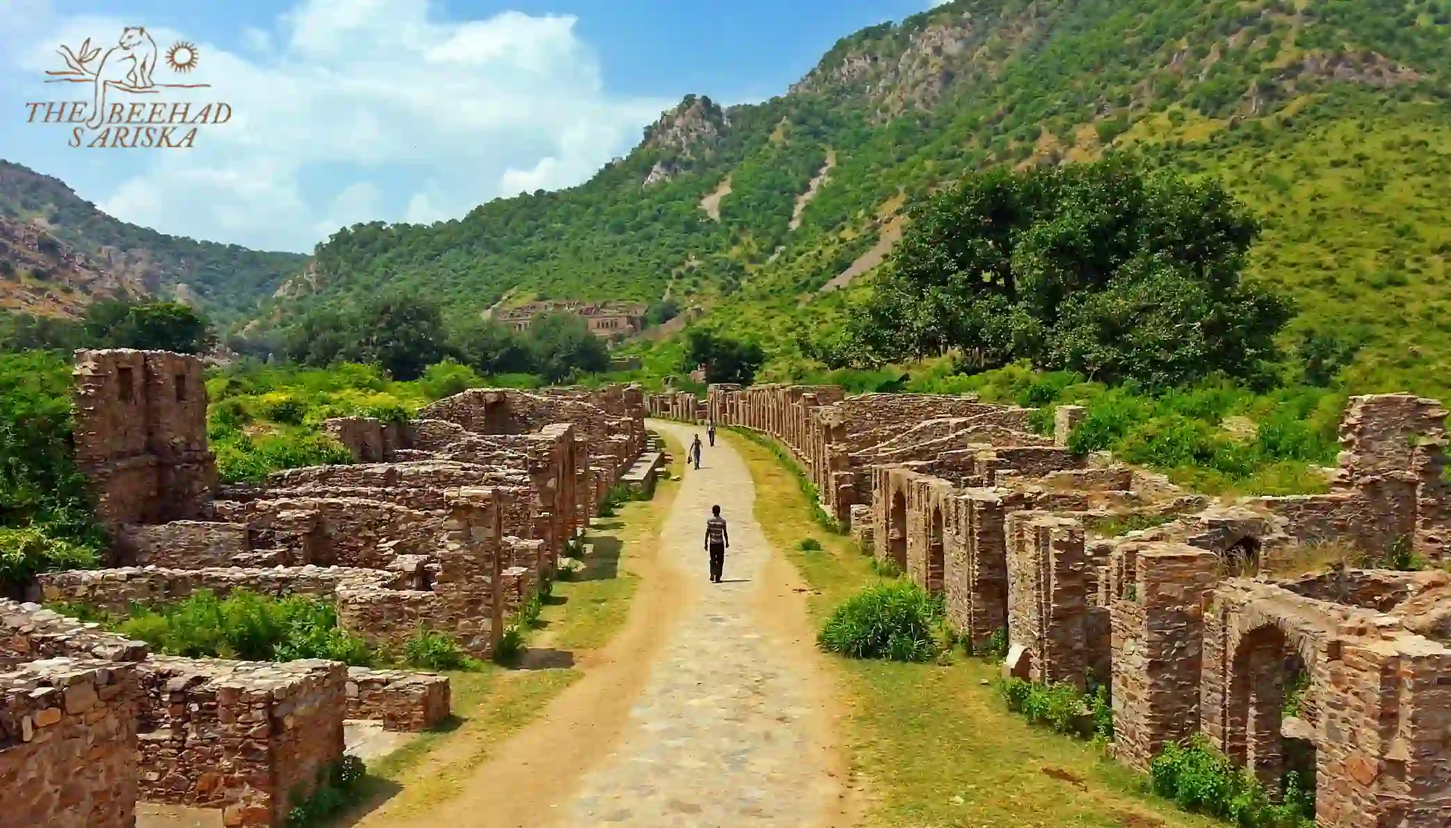Places to Visit Near Sariska Tiger Reserve