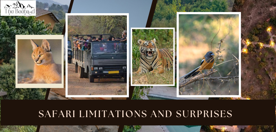 Safari Limitations and Surprises