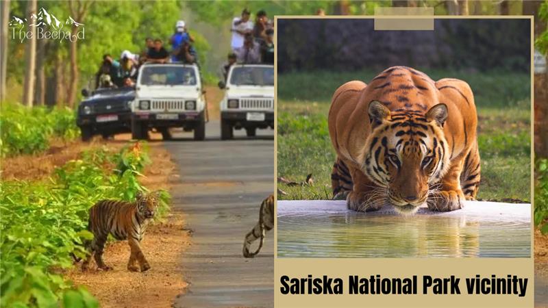 Sariska National Park vicinity