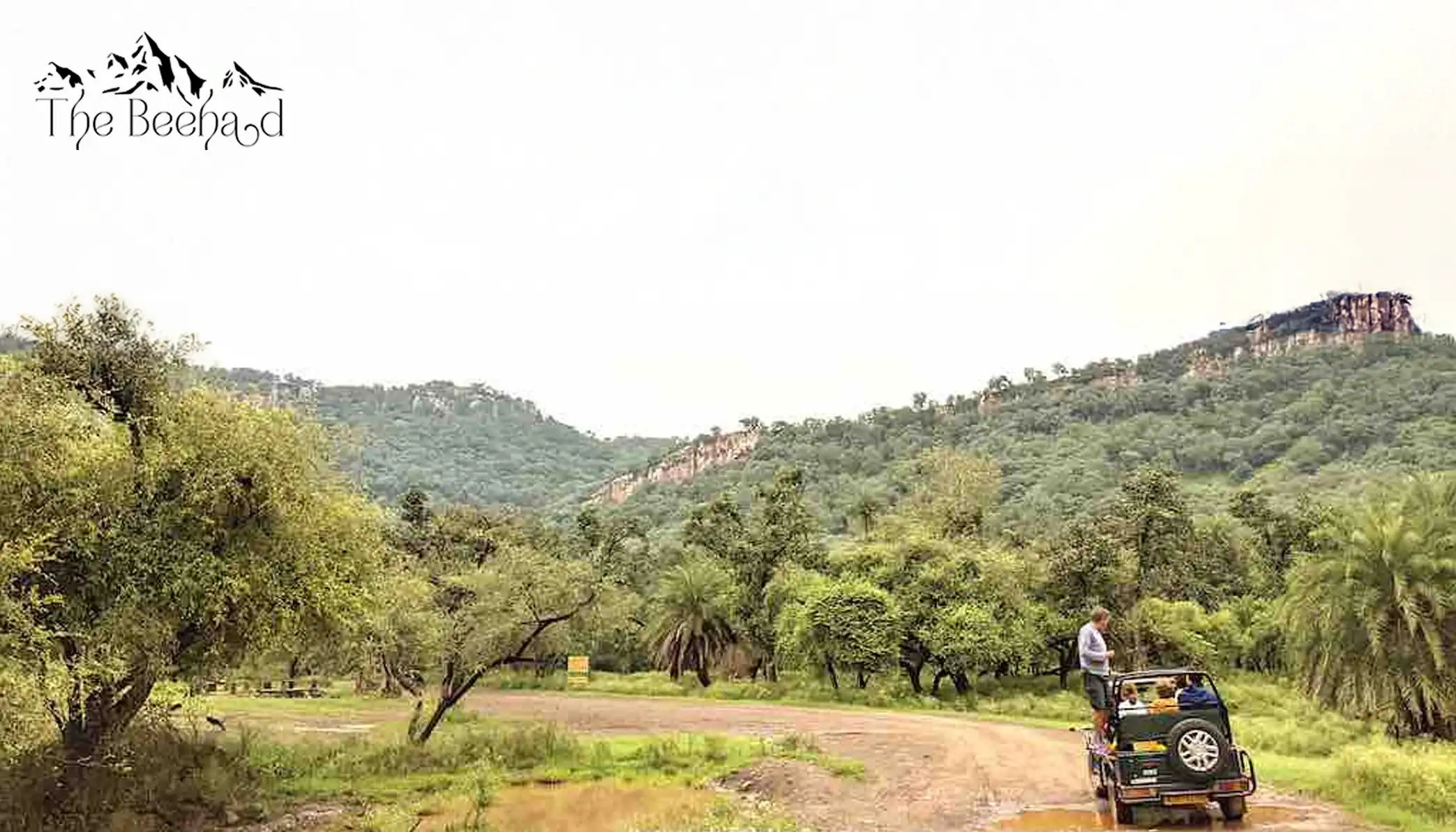 Sariska Safari Experience: What Makes It Special