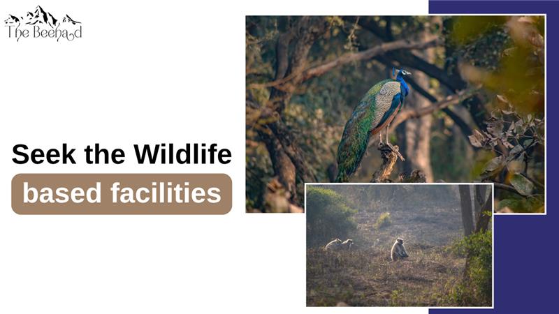 Seek the Wildlife-based facilities