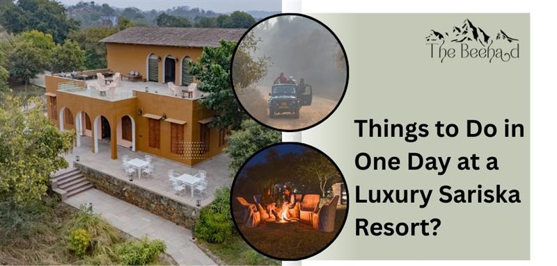 things-to-do-in-one-day-at-a-luxury-sariska-resort