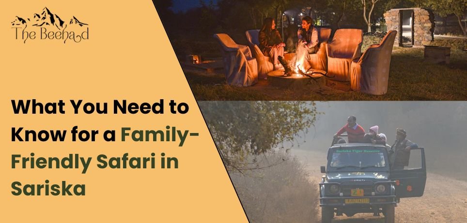 what-you-need-to-know-for-a-family-friendly-safari-in-sariska