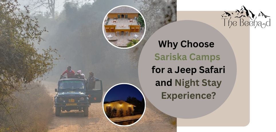 why-choose-sariska-camps-for-a-jeep-safari-and-night-stay-experience
