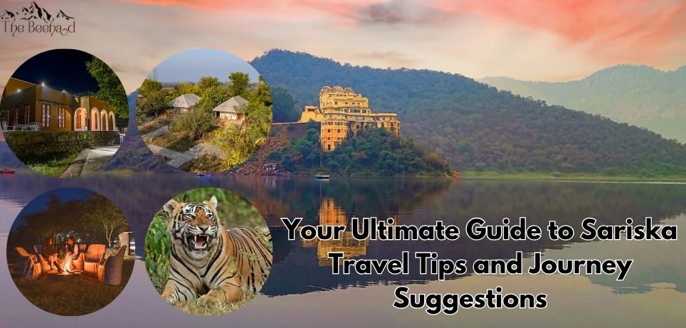 your-ultimate-guide-to-sariska-travel-tips-and-journey-suggestions