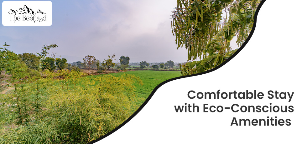 Comfortable Stay with Eco-Conscious Amenities