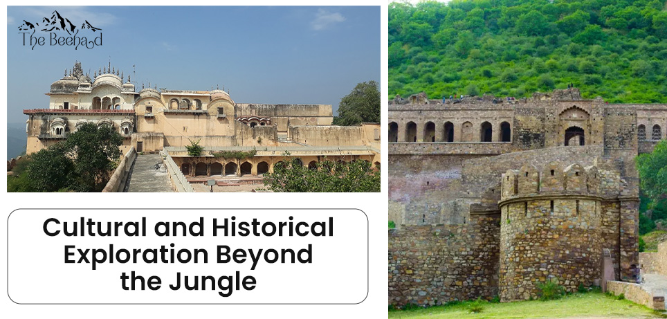 Cultural and Historical Exploration Beyond the Jungle