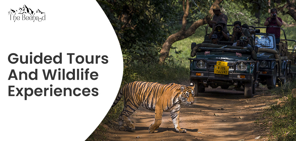 Guided tours and wildlife experiences