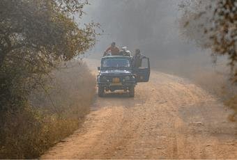 Jeep Safari in Sariska
