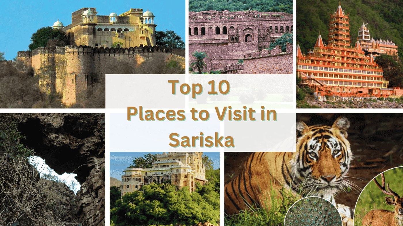 Top 10 places to visit in Sariska