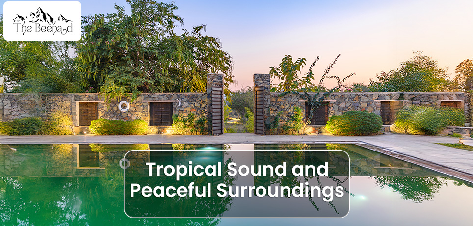 Tropical Sound and Peaceful Surroundings